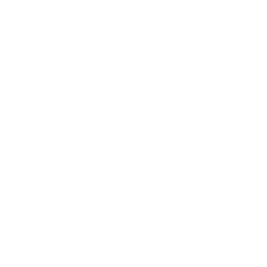 Cost-effective solution for self-supporting insulated lean-to roof panels, featuring a lightbulb and gear icon symbolizing energy efficiency and innovation.