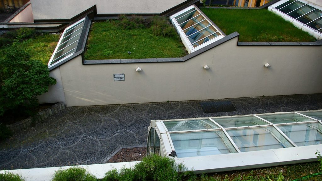 Conservatory roof replacement featuring green roof design and skylights, enhancing energy efficiency and comfort for living spaces in Cambridge.