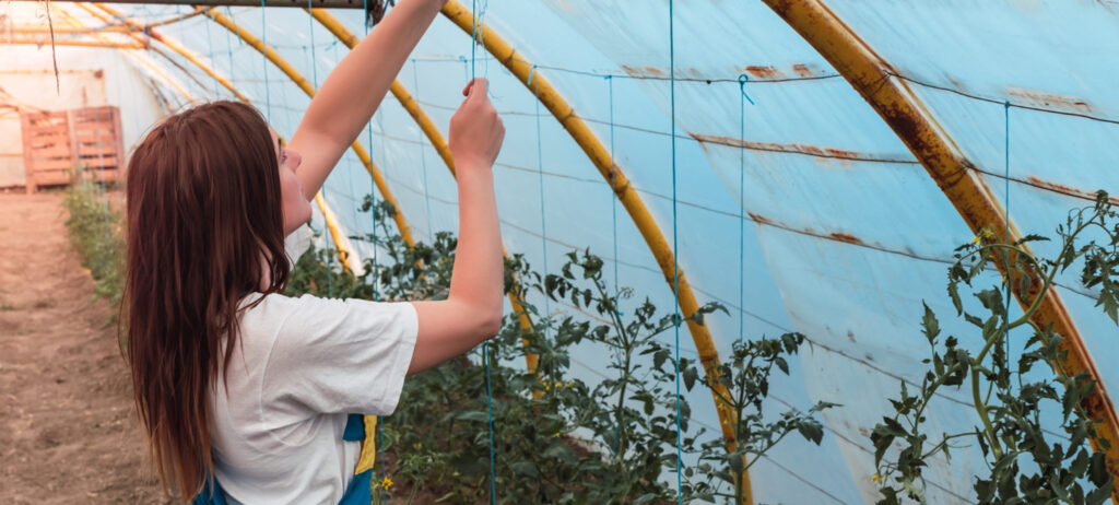 Conservatory Roof Replacement Cambridge