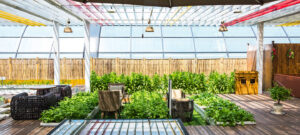 conservatory roof replacement derby 2026 guide