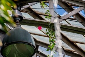 best roof style for conservatory roof replacement daventry